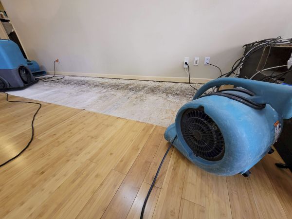 Cost of Water Damage Mitigation in Kansas City