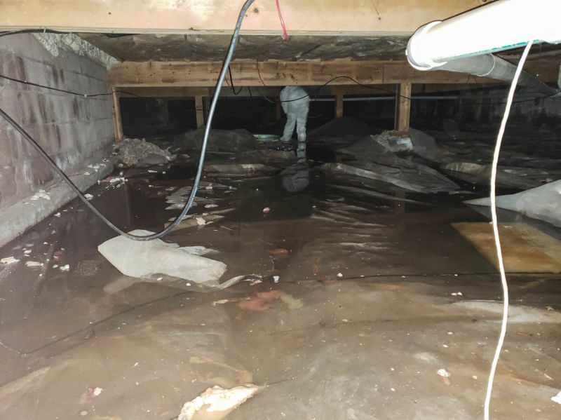 Water Damage Remediation